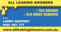 All Leaking Showers - Repaired, Tile Repairs & Re-Grouting East Brisbane