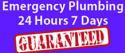 Professional Plumbing Services