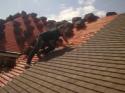 Adelaide South Tilers - Roofing Contractor - Mark Sterzl Roof Tiling